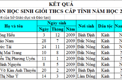 Học sinh giỏi tỉnh năm học 2023-2024